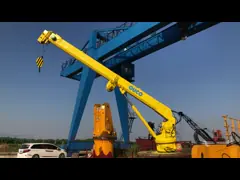 Explosion Proof Telescopic Boom Hydraulic Deck Crane Multiple Lifting Points video