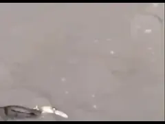 Новая модель 6 цвета 5.1CM/7.2G Тонущая миновая рыбалка Приманка для рыбалки video