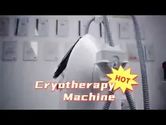 20w Fda Ce Passed 690nm Cryo Fat Freezing Machine