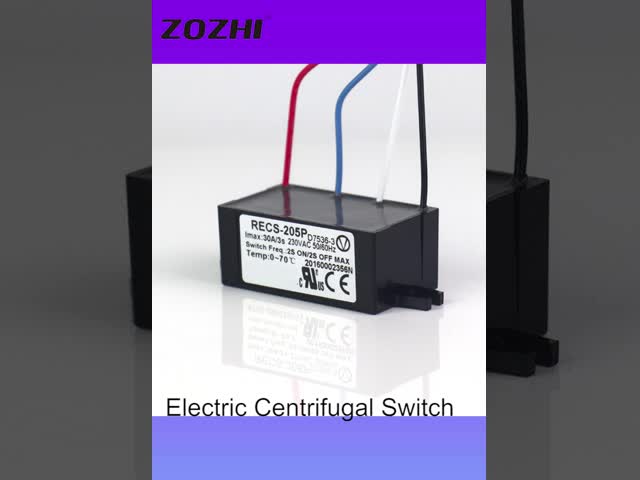 RECS-205P electric centrifugal siwtch