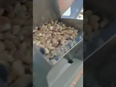 Accurate Recognition Garlic Color Sorter 0.6-1.2 t/h High Speed Sorting Machine