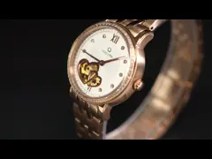 5ATM водоустойчивый автоматический механический дозор BSCI каркасное Subdial video