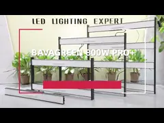 4 Spectrum Channel 800w LED Grow Light Lm301h Aluminum Body Material