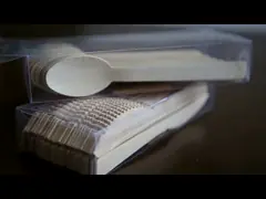 Ложка устранимого деревянного мини мороженого деревянная одна польза времени деревянная video