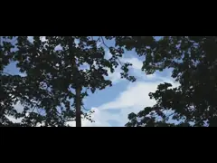 СКРЫТНОСТЬ SHIMANO 105 велосипеда дороги волокна углерода TWITTER 700C 22 скорости video