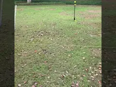 столбы загородки весны отрезка провода 104cm стальные электрические video