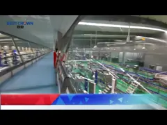 Равное давление 24000 BPH Carbonated машина завалки безалкогольного напитка video