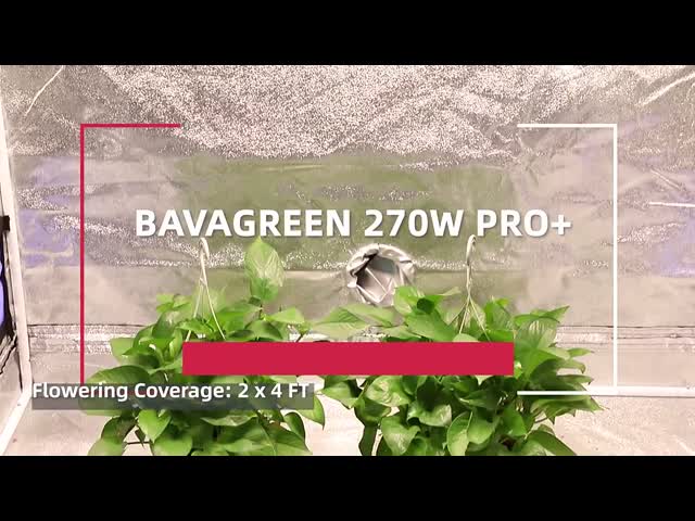 Крытое СИД парника LM301H растет светлый водитель 270w 2x4 кв ft Sonsen