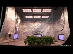 10V затемняя СИД растут света SAMSUNG LM301B LM301H 720W со светом UVB video