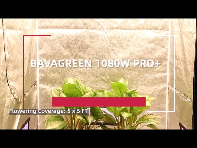 СИД наивысшей мощности Bavagreen растет инфракрасн доски светов 1080w IP65 Кванта УЛЬТРАФИОЛЕТОВОЕ видео