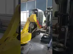Robot Malende Oppoetsende Machine 6 de Machine van het het Wapenmalen van de Asrobot
