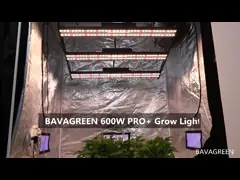 Регулируемое СИД спектра UVA UVB растет светлым затемняющ аттестацию RoHS video