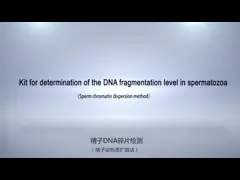 Экономический набор теста фрагментации ДНК спермы для определения уровня фрагментации ДНК--метод рассеивания хроматина спермы video