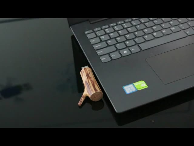 A raiz da árvore dá forma ao logotipo de gravação instantâneo de madeira da movimentação 256GB de USB