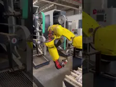 Robot de FUNAC rectifiant et machine de polonais pour le mélangeur de Bath/robinet d'eau/robinets/poignées