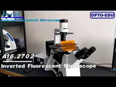 200X Epi - светильник A16.2702 100X галоида люминесцентного микроскопа - 400X video