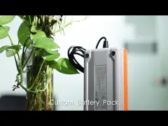 заряжатель батареи лития 500W затыкает внутри индикацию состояния для электрического мотоцикла video