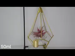 плоский стеклянный флакон духов 50ml с небольшой крышкой золота video