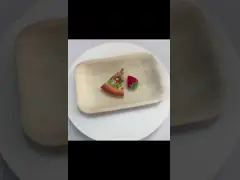 6 дюймов 8 дюймов плиты лист ладони ареки 10 дюймов устранимые video