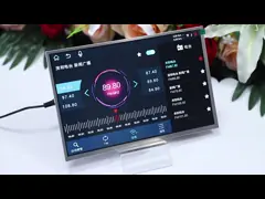 Touch Screen 10'' IPS TFT LCD Module 1280x800 With LVDS Interface