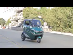 Intelligent Charger Electric Tricycles Closed Body Passenger For Adults
