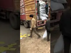 Прекаст трубка прокладки ПВК растягиваемого элемента бетонной стены для системы растягиваемого элемента 15/17мм video