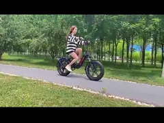 сплав магния велосипеда батареи лития 48V 13Ah электрический с дисплеем СИД video