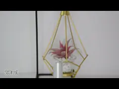 Frosted Rectangular Perfume Bottle Packaging 20ml Perfume Spray Vial video