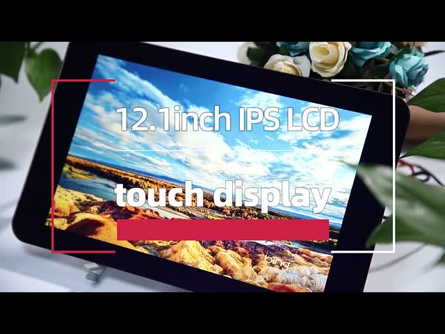 12.1in IPS LCD TFT Touch Screen Display 1280x800 With CTP video