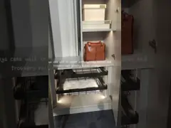 Стена доски частицы установила шкафы шкафов шкафа спальни с вешалкой и ручкой video