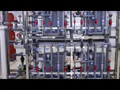 12000L/H RO Water Filter Treatment Plant EDI Ultra Pure Purifier Machine Reverse Osmosis System