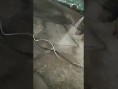 Оружие изоляции пены камеры оружия брызг 1.3mm полиуретана автомобиля CE video