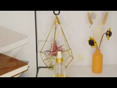 18/400 капельниц ясности 30ml 1 Oz стеклянных разливает рукав по бутылкам силикона контейнеров video