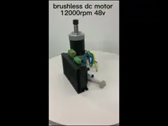 48V 12000rpm brushless dc motor