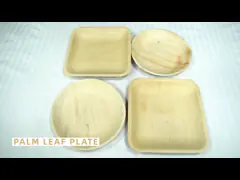 SGS Biobased лист 100% ладони покрывают устранимое для дня рождения детей video