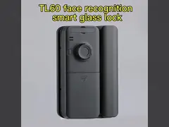 Замок алюминиевого отпечатка пальцев распознавания лиц замка Tuya ABS умного Frameless стеклянный video