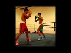 Нестандартная конструкция перчаток бокса кожаного учебного упражнени Pu Wining Breathable video