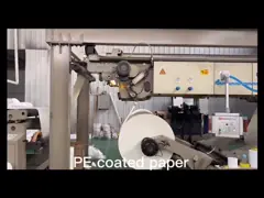 оптовый устранимый крен цвета слоновой кости бумажной доски 190gsm 210gsm FBB бумажный video