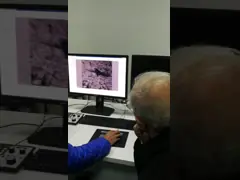 этап оптического микроскопа сканирования 6кс~1000000кс цифров 5 моторизованный осью video