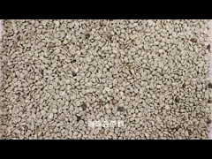 Optical RGB Green Coffee Bean Color Sorter 4 Chutes