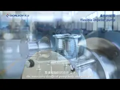 RX гибкость импеллер высокой чистоты насосы достичь по часовой стрелке и против часовой стрелки вращения video