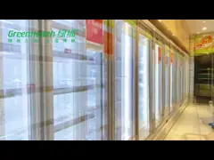 Вертикальный замораживатель дисплея замороженного мяса холодильника чистосердечный стоит вверх для магазина video