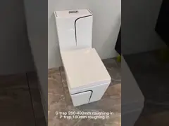 WC Siphonic квадрата топит санитарные брызги чистки собственной личности туалета изделий video