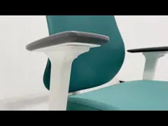 330 отполировал стул компьютера эргономической безграничности стула задачи алюминиевой Ergo кожаный video