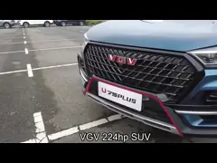 Norma di SUV FWD dei sedili della porta 7 di VGV 8AT 5 intorno a potere 2.0T della benzina di View Monitor