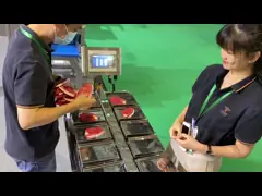 Нержавеющая сталь 304 веся масштаба головы Weigher 12 комбинации еды столешницы video