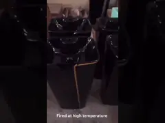 Керамическое 525*430*860mm санитарное one piece таза изделий с черным туалетом video