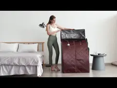 небольшая портативная домашняя сауна пара 2L установила сертификат ROHS с главной крышкой video