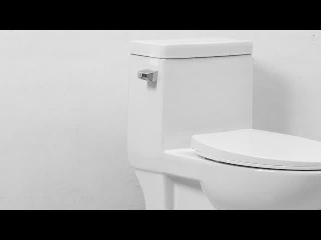 Dual Flush Elongated One Piece Toilet With Soft Closing Seat 1.28gpf/4.8lpf