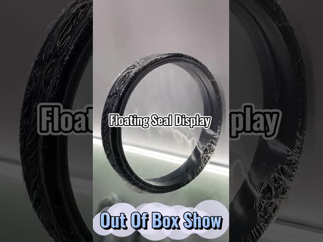 DX55 floating seal